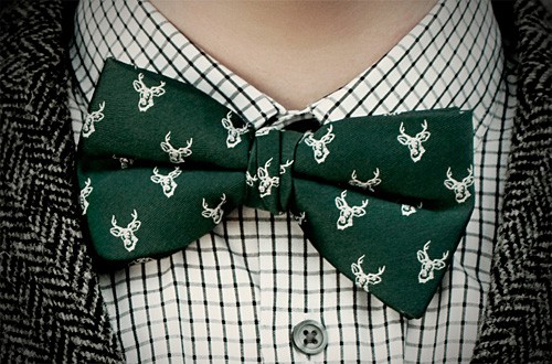 animalbowtie