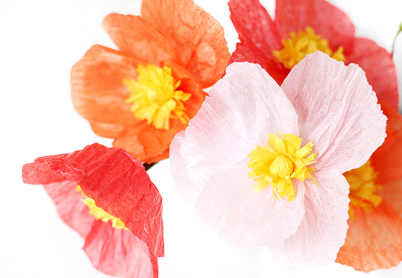 Paper Poppies