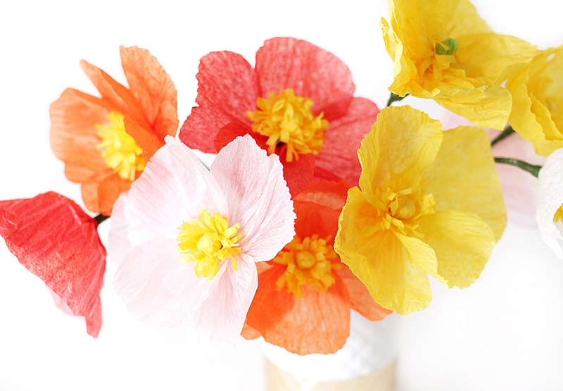 Paper Poppies