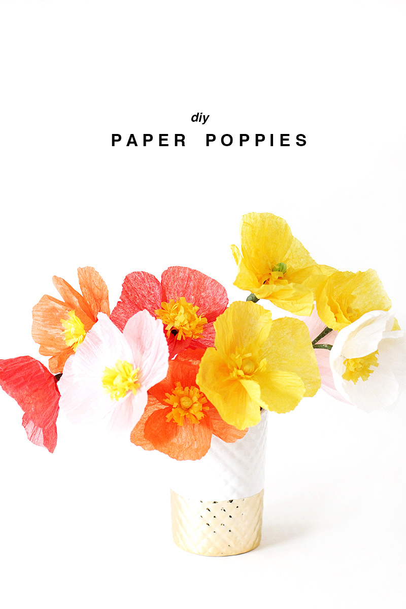Paper Poppies