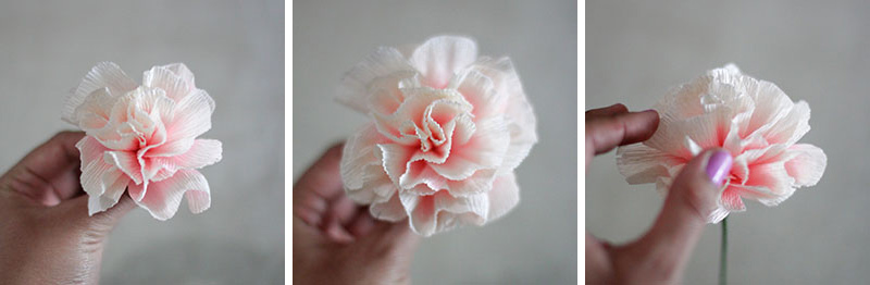 Paper Carnations