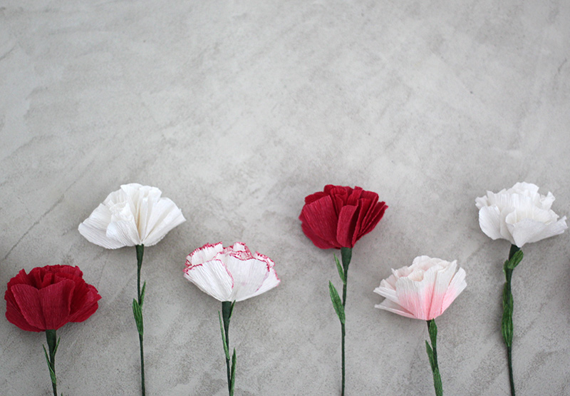 Paper Carnations