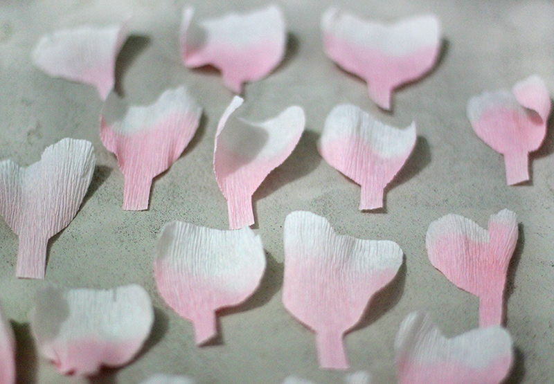 Paper Carnations