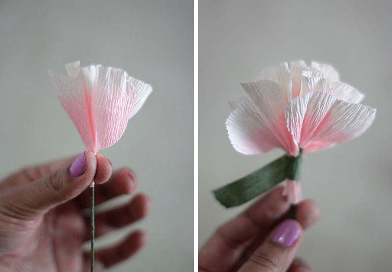 Paper Carnations