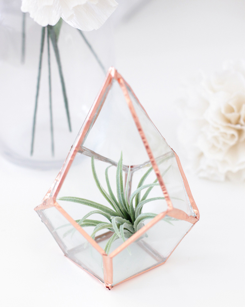 Glass Terrarium centerpiece with air plant