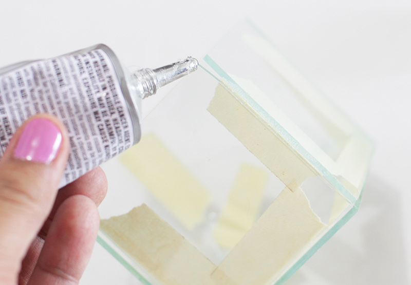 Apply glue to edges of taped terrarium shape
