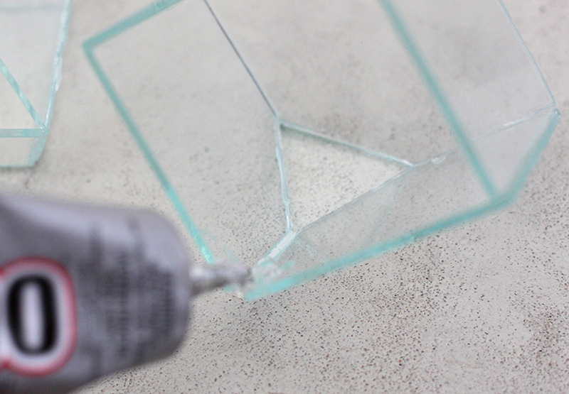 Add glue to the inside edges of the terrarium