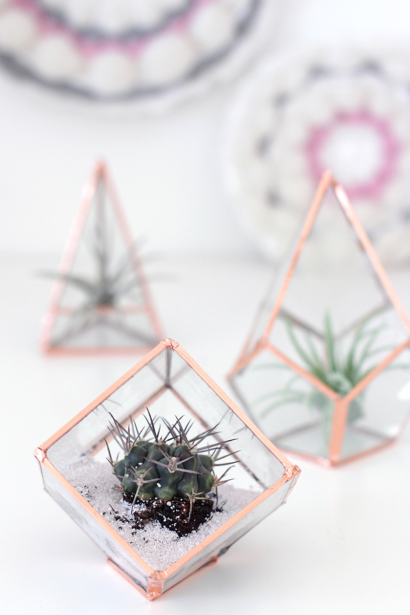 Geometric Glass Terrarium with plant