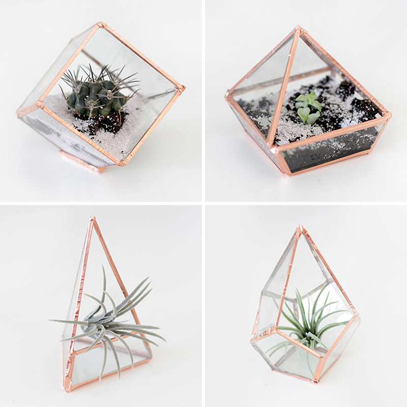 Glass Terrariums