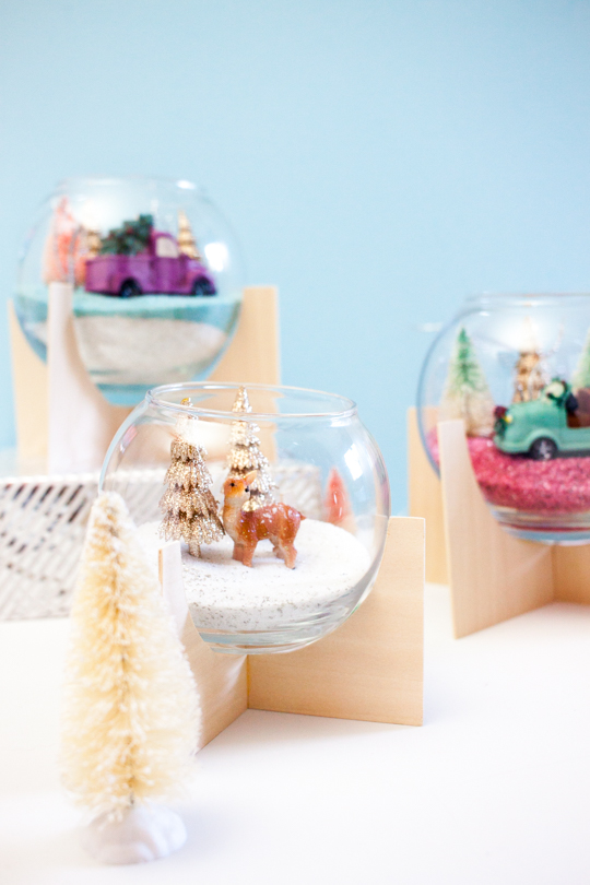 DIY Holiday-themed terrariums